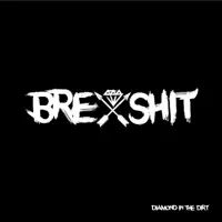 Brexshit — Diamond In The Dirt