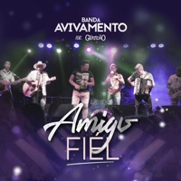 Amigo Fiel (feat. Banda Gratidão) - Single - Banda Avivamento