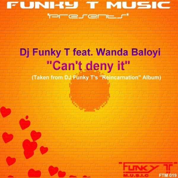 Can't Deny It (feat. Wanda Baloyi) - Single