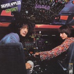 Silver Apples - A Pox On You
