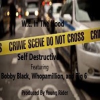 Self Destructive (Featr. Bobby Black, Whopamillion, And Big 6) - Single - W.E. in the Hood