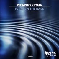 Turn On the Bass - Single - Ricardo Reyna