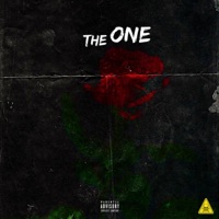 The One (feat. Serna) - Single - Hamza Bones