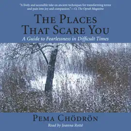 The Places That Scare You: A Guide to Fearlessness in Difficult Times (Unabridged)