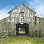 Willie Nelson - Freight Train Boogie