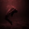 Fog - Single