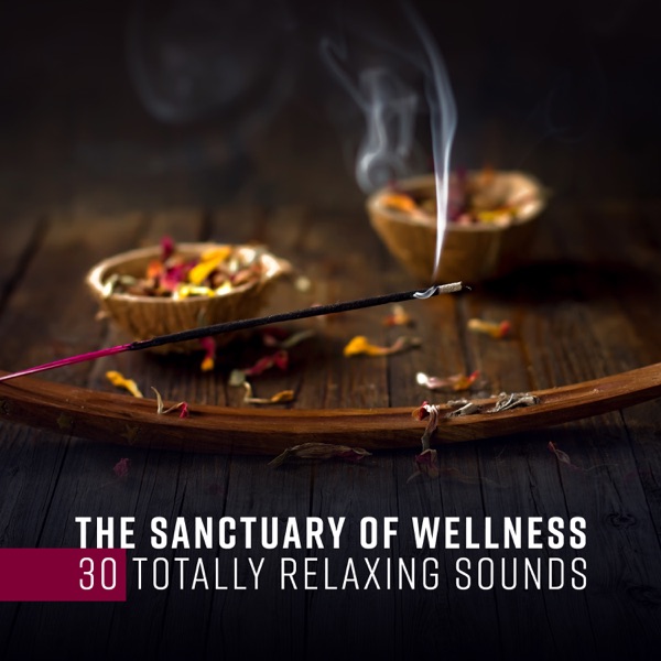 The Sanctuary of Wellness - 30 Totally Relaxing Sounds for Spa, Health, Happiness and Wellbeing