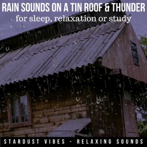 Rain Sounds on a Tin Roof & Thunder for Sleep, Relaxation or Study