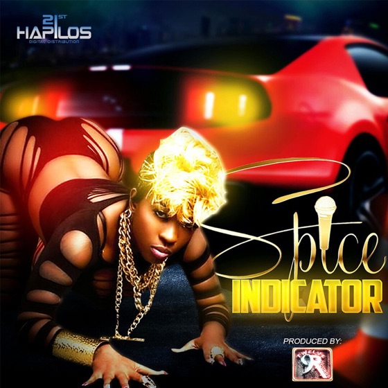 Cover artwork for Indicator