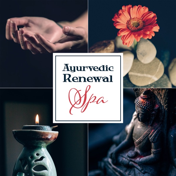 Ayurvedic Renewal Spa: Touch of Rejuvenate Hands
