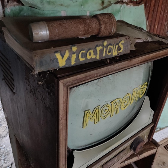 Cover artwork for Vicarious