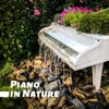 Piano in Nature - 25 Relaxing Piano Jazz & Nature Sounds, Tranquil Collection