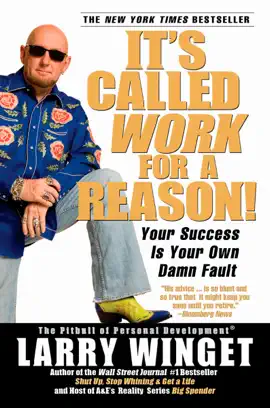 It's Called Work for a Reason!: Your Success Is Your Own Damn Fault (Unabridged)
