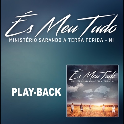 És Meu Tudo (Playback)