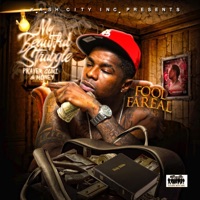 My Beautiful Struggle (Prayer, Gunz & Money) - Fool Fareal