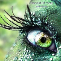 Harvest of Metal - Single - Julien Journet