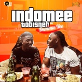 Indomee (feat. Demmie Vee) artwork