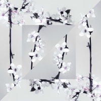 The Way She Feels - Single - Wout