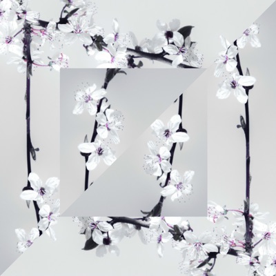 The Way She Feels - Single