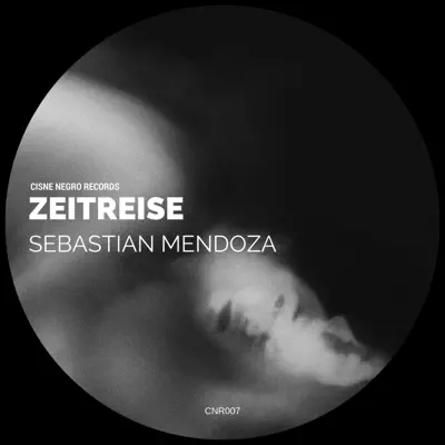 Zeitreise - Single - Sebastián Mendoza