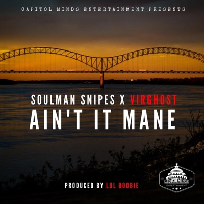 Ain't It Mane (feat. Virghost) - Single