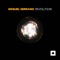Revolution - Miguel Serrano lyrics