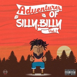 I DO This (feat. Enigma, Wavethakid & Draii) Sillybilly