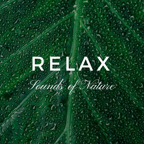 Relax: Sounds of Nature for Stress Relief, Music for Deep Relaxation, Yoga Exercises, Sleep Well, Deep Meditation