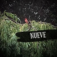 Same Thing - Single - Nueve