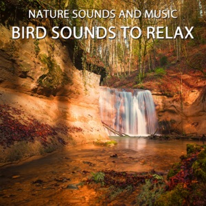Bird Sounds to Relax - EP