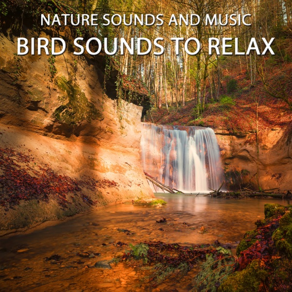 Bird Sounds to Relax - EP