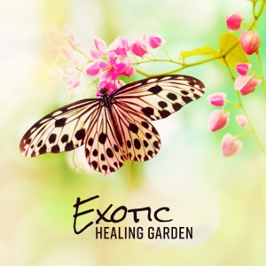 Exotic Healing Garden – Improve Immune Function, Wound Healing, Cognition, Concentration, Emotional Resilience, Empathy, Vitality, Relaxation, Mood, And Satisfaction for Inpatient Rehabilitation