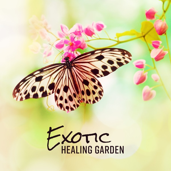 Exotic Healing Garden – Improve Immune Function, Wound Healing, Cognition, Concentration, Emotional Resilience, Empathy, Vitality, Relaxation, Mood, And Satisfaction for Inpatient Rehabilitation