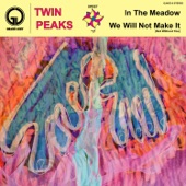 We Will Not Make It (Not Without You) by Twin Peaks