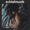 Schlafmusik (auch als Baby Musik geeignet) - Gesunder Schlaf, Schlaflieder, Tiefen Schlaf, Naturgeräusche und Vogelstimmen