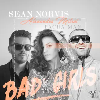 Bad Girls (feat. Pacha Man & Alexandra Mitroi) [Accapella] by Sean Norvis song reviws