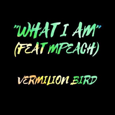What I Am (feat. Mpeach) - Single