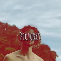 Pictures - Single - Burgndy