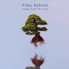 Songs from the Tree