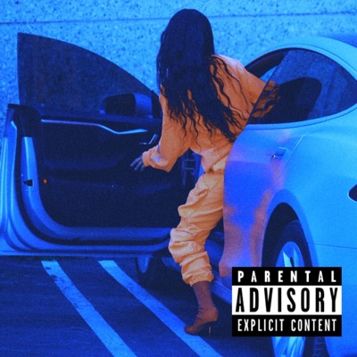 The Whip - Single