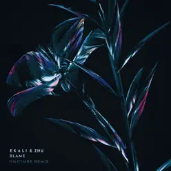 Blame (NGHTMRE Remix) - Single - ZHU Blame (NGHTMRE Remix) - Single - ZHU