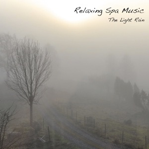 The Light Rain - Single