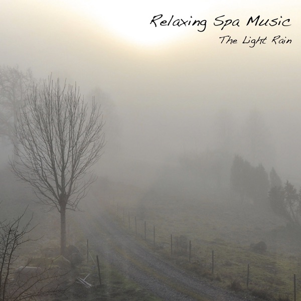The Light Rain - Single