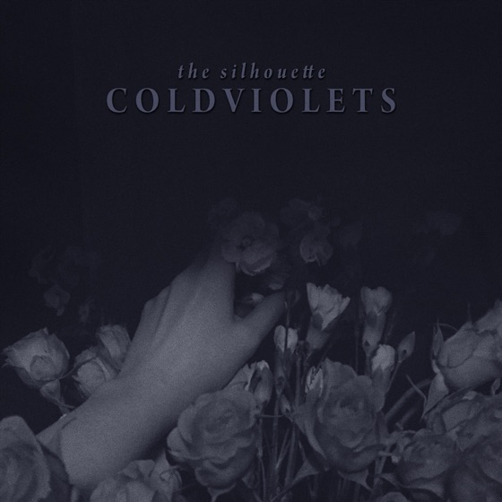 Cover artwork for Thin Skin