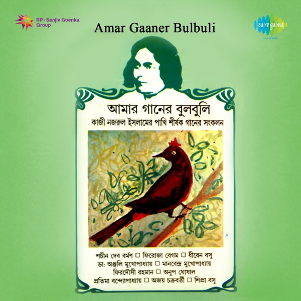 Amar Gaaner Bulbuli - Single