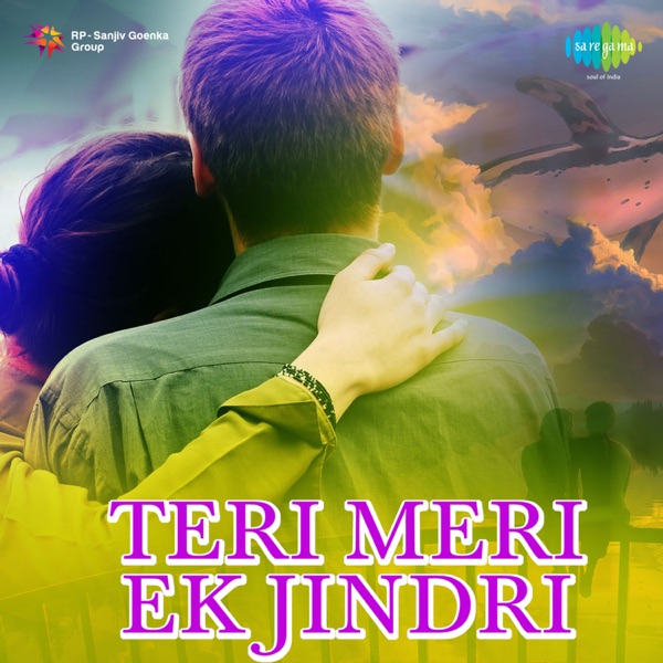 Teri Meri Ek Jindri (Original Motion Picture Soundtrack)