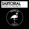 Sound of the Disco - Single