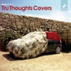 Unfold Presents: Tru Thoughts Covers, Vol. 1, 2009