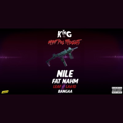 What You Thought (feat. Nile, Fat Nahm, Leaf, La610 & Bangaa) - Single
