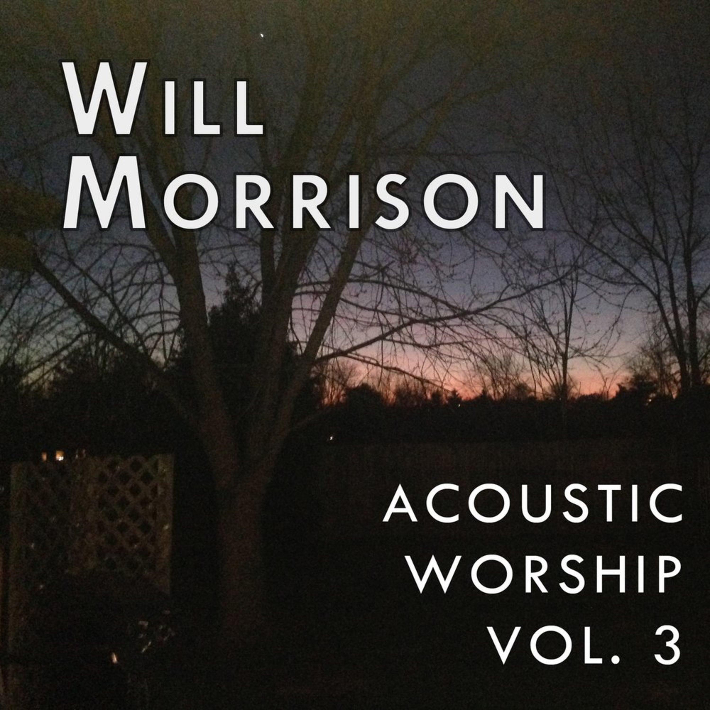 Acoustic Worship, Vol. 3 (Acoustic Version)